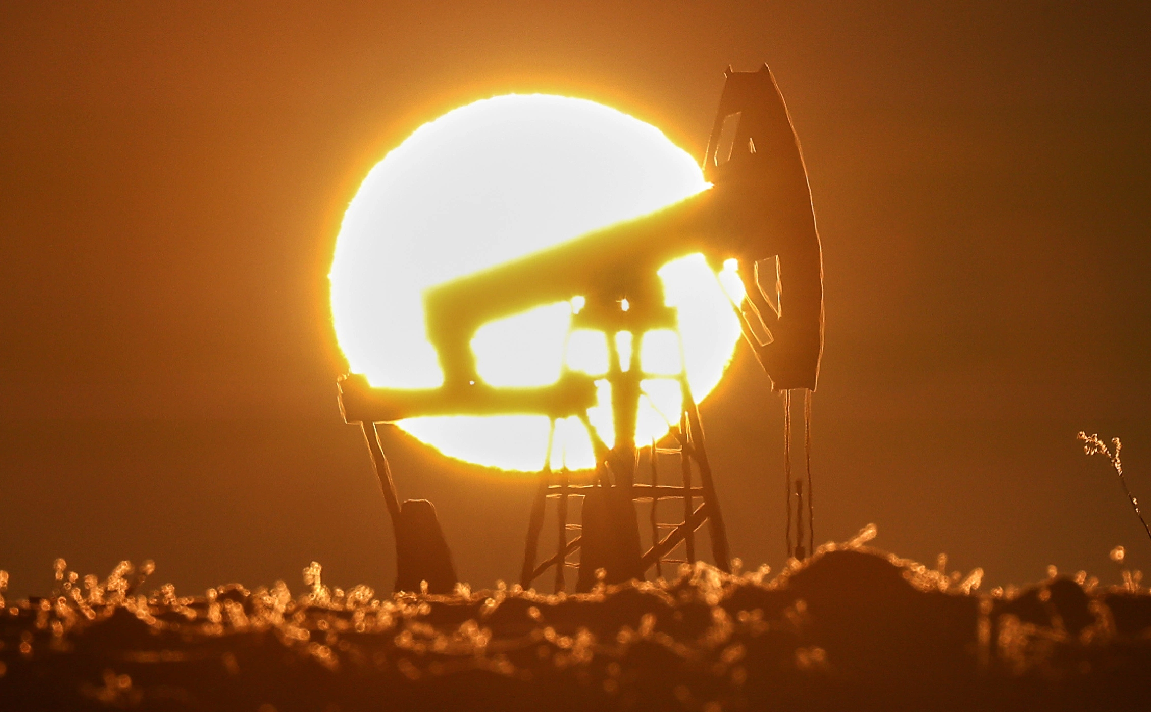  Егор Алеев / ТАСС