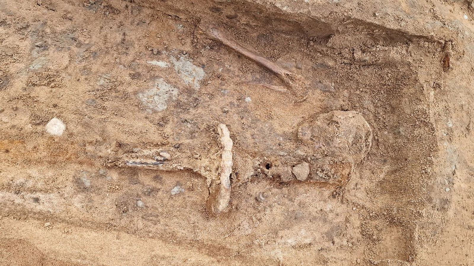 <p>В Швеции археологи раскопали средневековую могилу влиятельного мужчины. Он был очень высоким (1,9 м) и был похоронен с мечом длиной 1,3 м</p>
