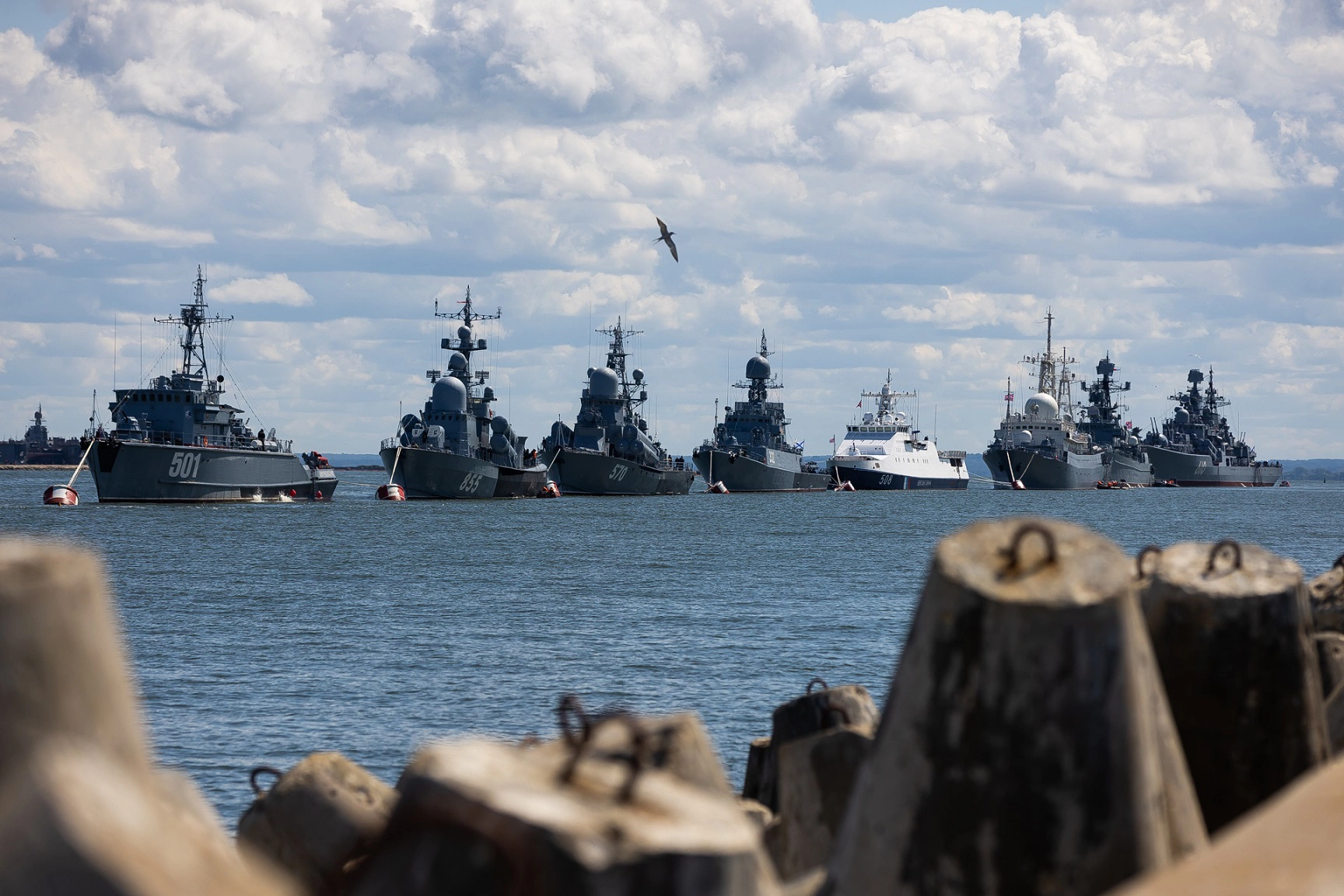 Александр Подгорчук