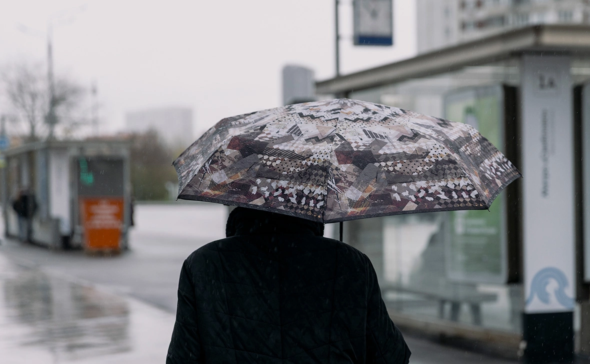 Михаил Гребенщиков / РБК