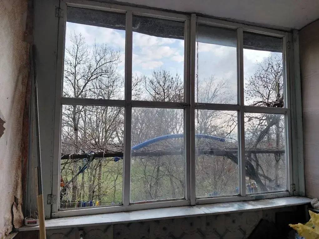 Фото: kravchenko_glava_nvrsk / Telegram