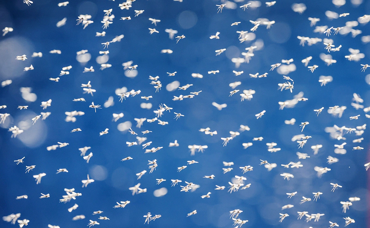 Михаил Кутузов / ТАСС