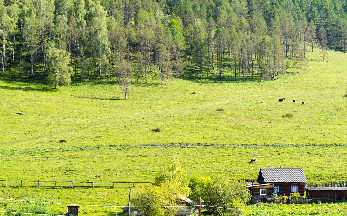 Фото: Dmitry Sedakov foto / Shutterstock / FOTODOM