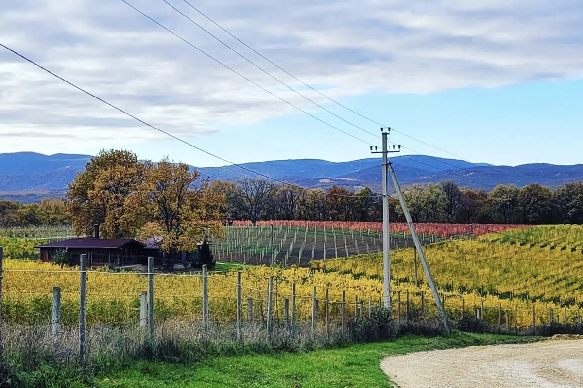 @gunkowinery / Instagram (входит в корпорацию Meta, признана экстремистской и запрещена в России)