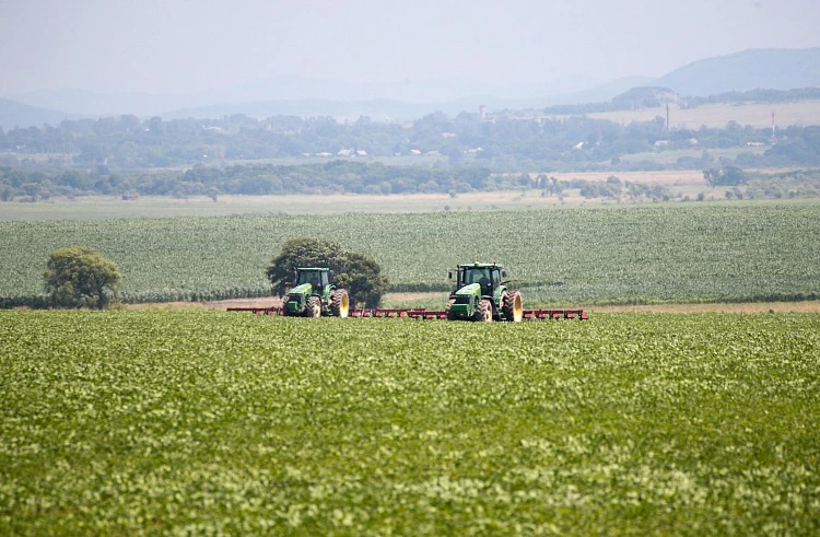 Правительство Приморского края