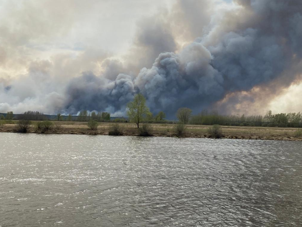 Природные пожары в Тюменской области наносят урон хозяйству каждый год.
