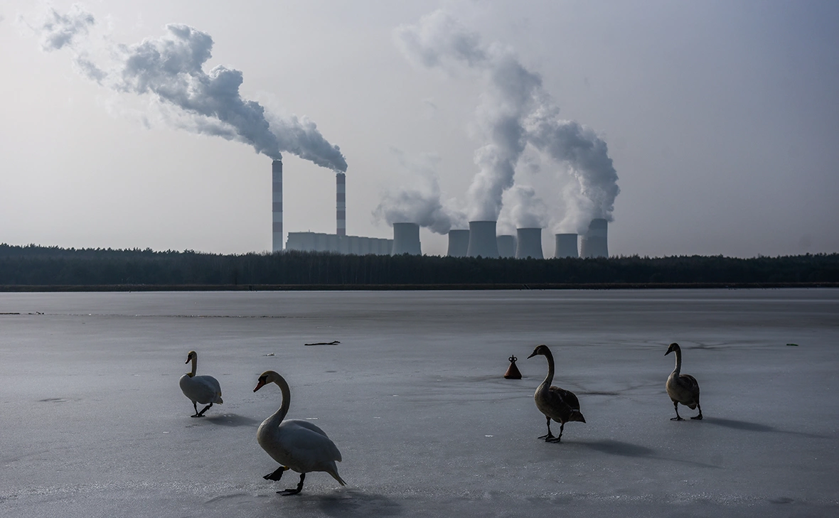 Omar Marques / Getty Images