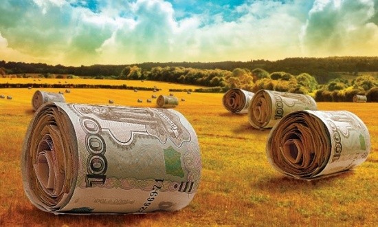 Фото: specagro.ru