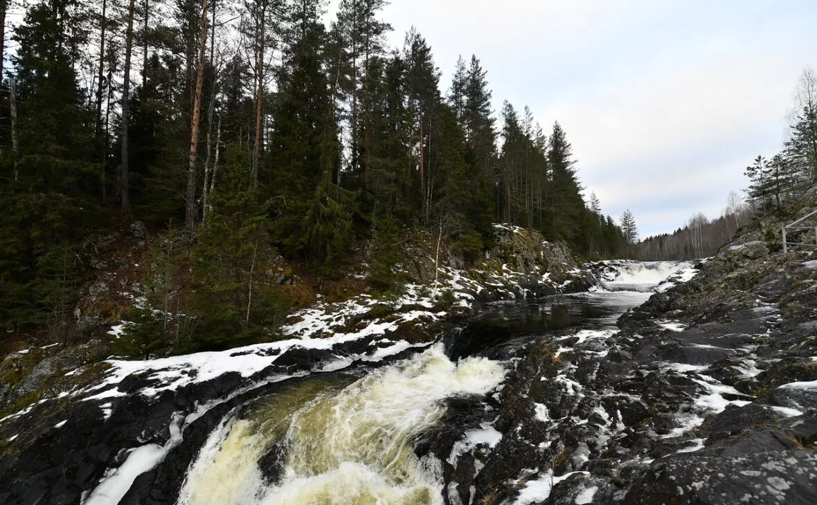gov.karelia.ru