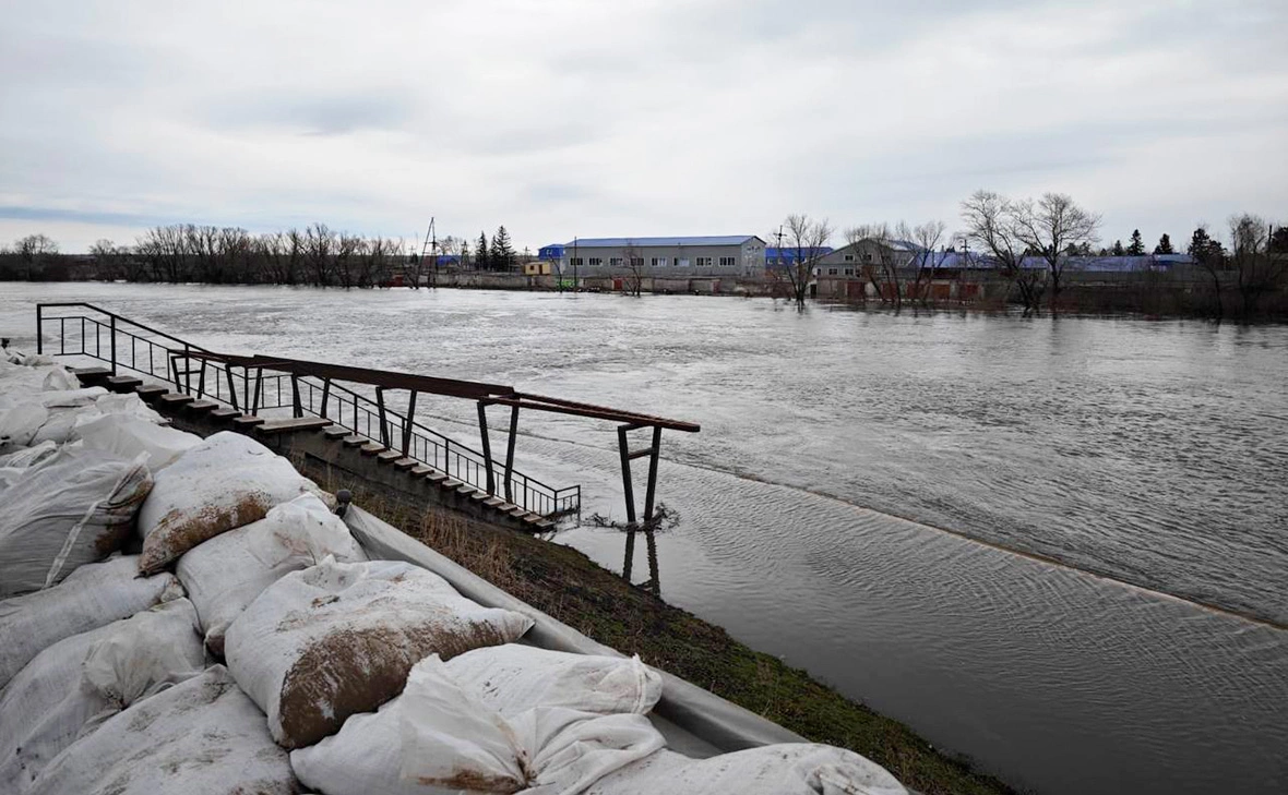 kurganskayaobl / Telegram