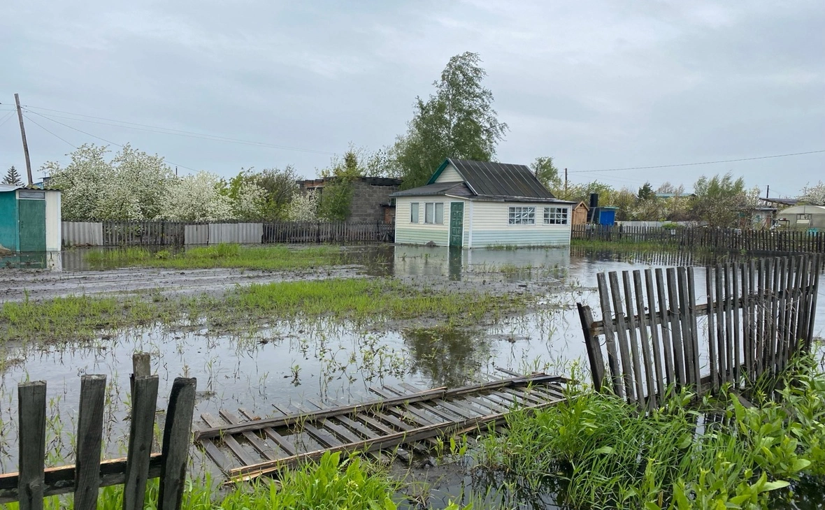 Тамара Башаева