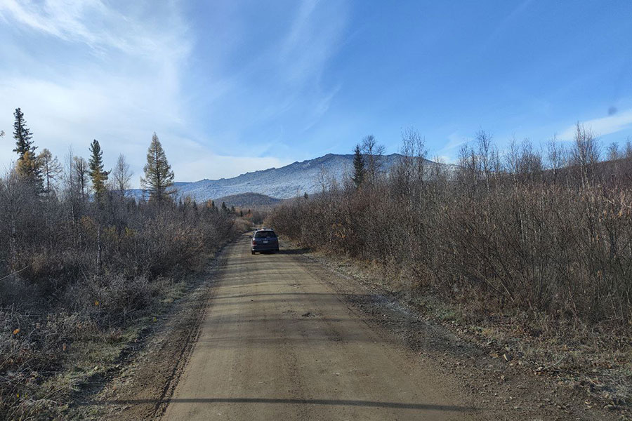 Фото: Поисково-спасательный отряд «ЛизаАлерт»