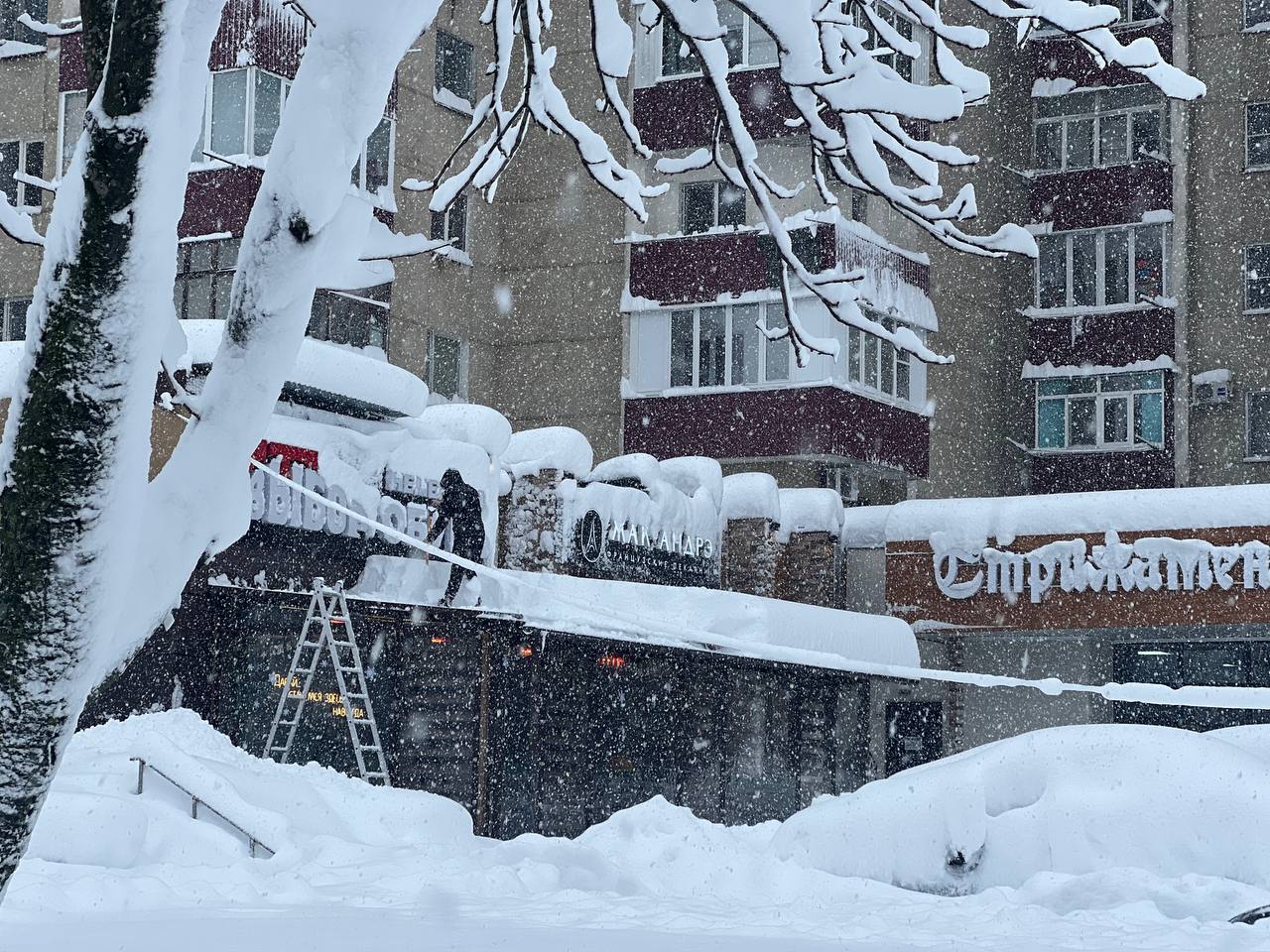 Фото: Наталья Радчук, РБК Краснодар