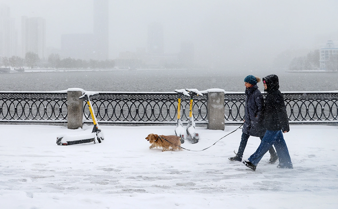 Донат Сорокин / ТАСС
