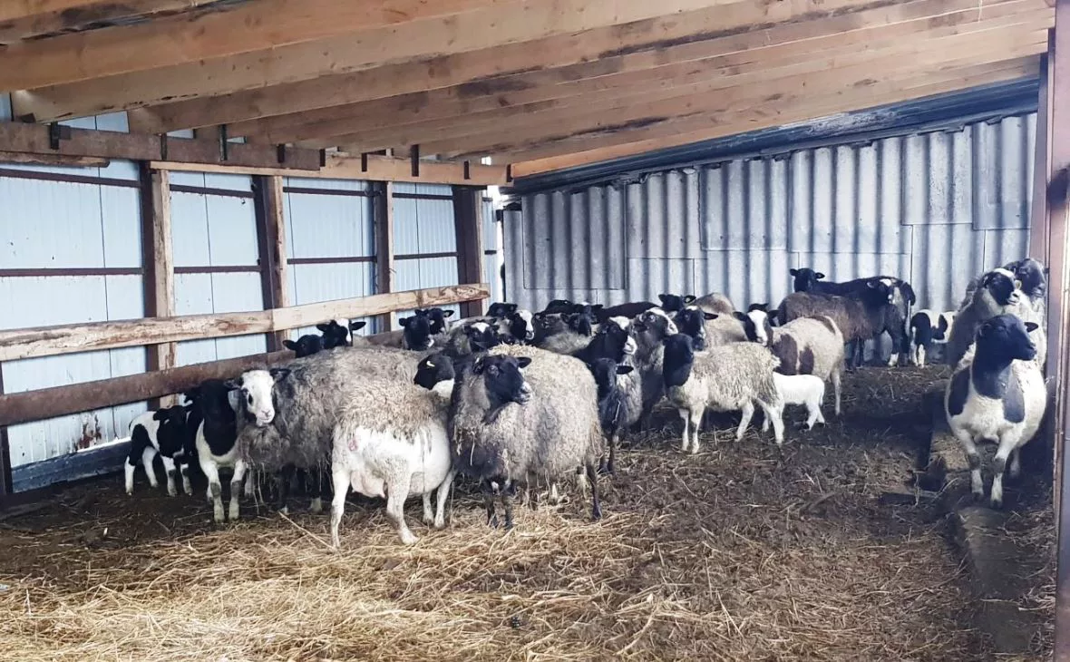 РБК Черноземье