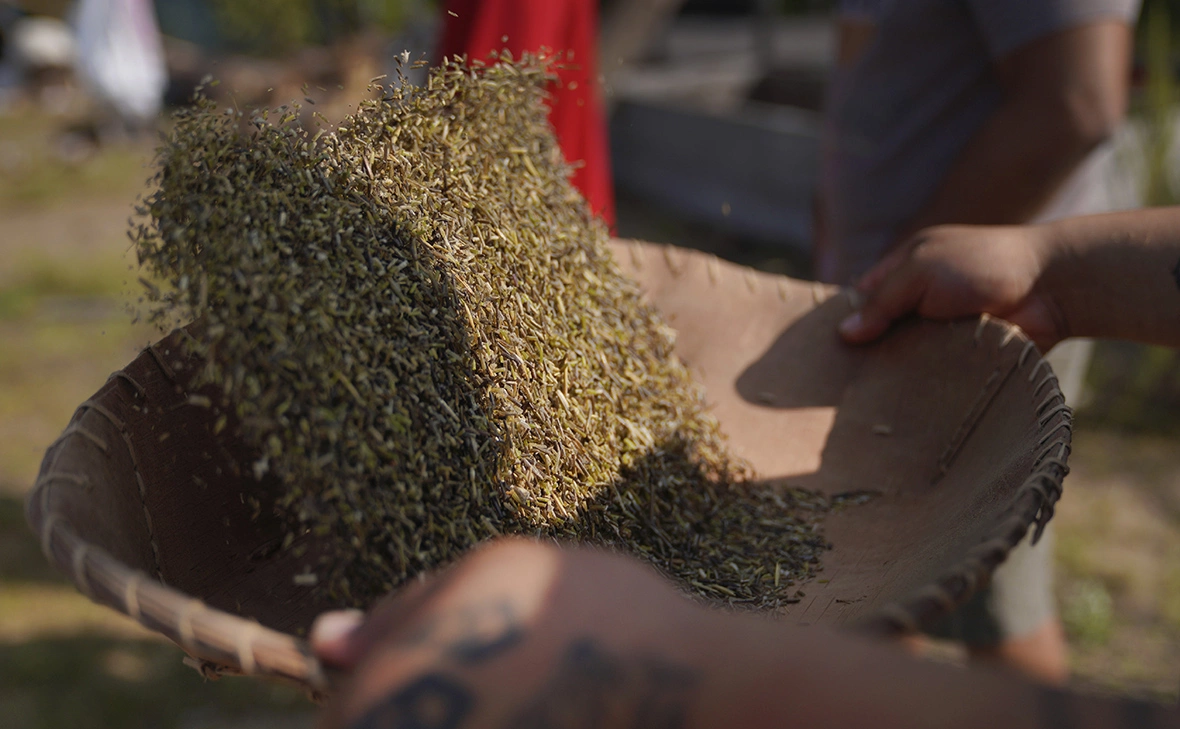 Jessie Wardarski / AP / ТАСС