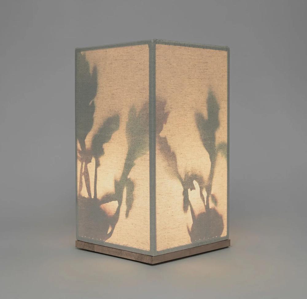 Объект из серии «Сад обыкновенный», Анна Лапшинова, 85 000 руб., галерея Ulm