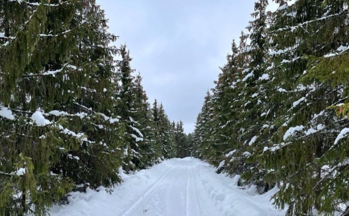 Фото: Минприроды Карелии/ vk.com