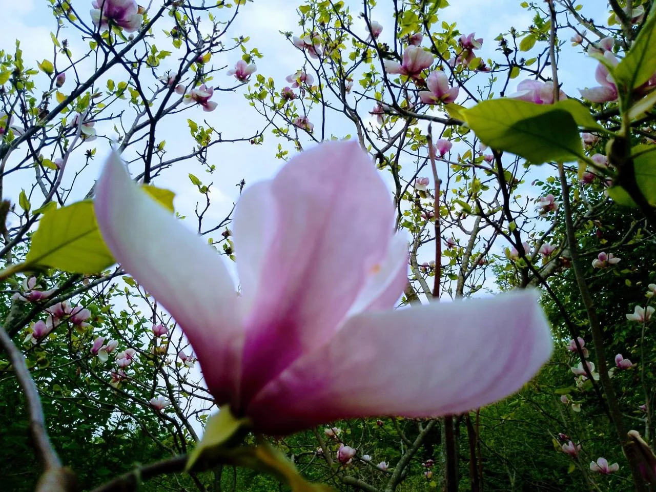 РБК Приморье