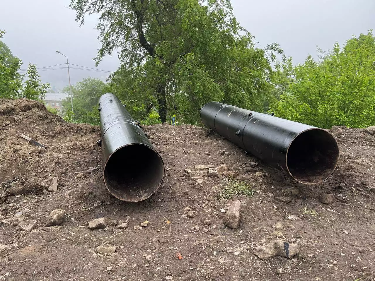 РБК Приморье