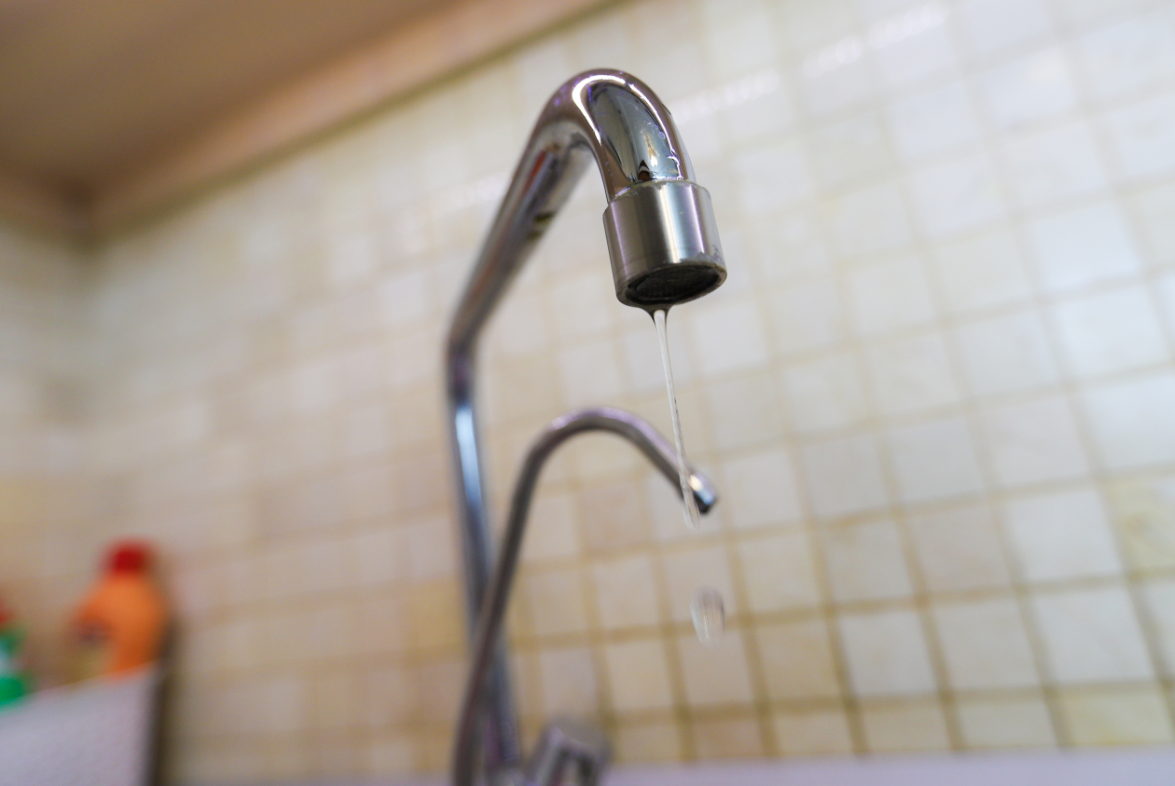 Екатерина Сычкова / РИА URA.RU