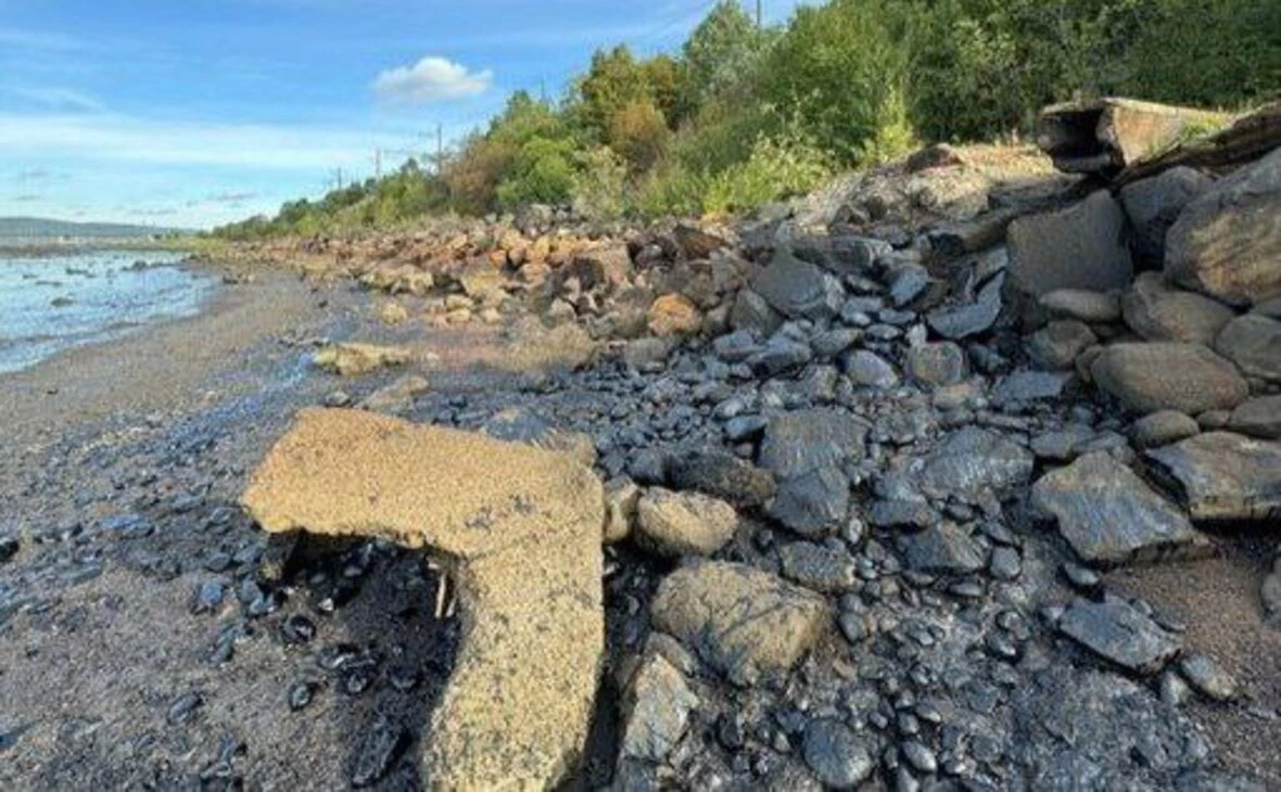 Балтийско-Арктическое межрегиональное управление Росприроднадзора/ vk.com