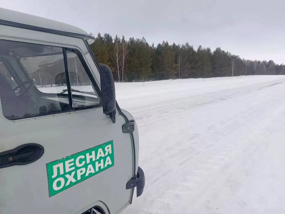 Пресс-служба Минприроды Новосибирской области