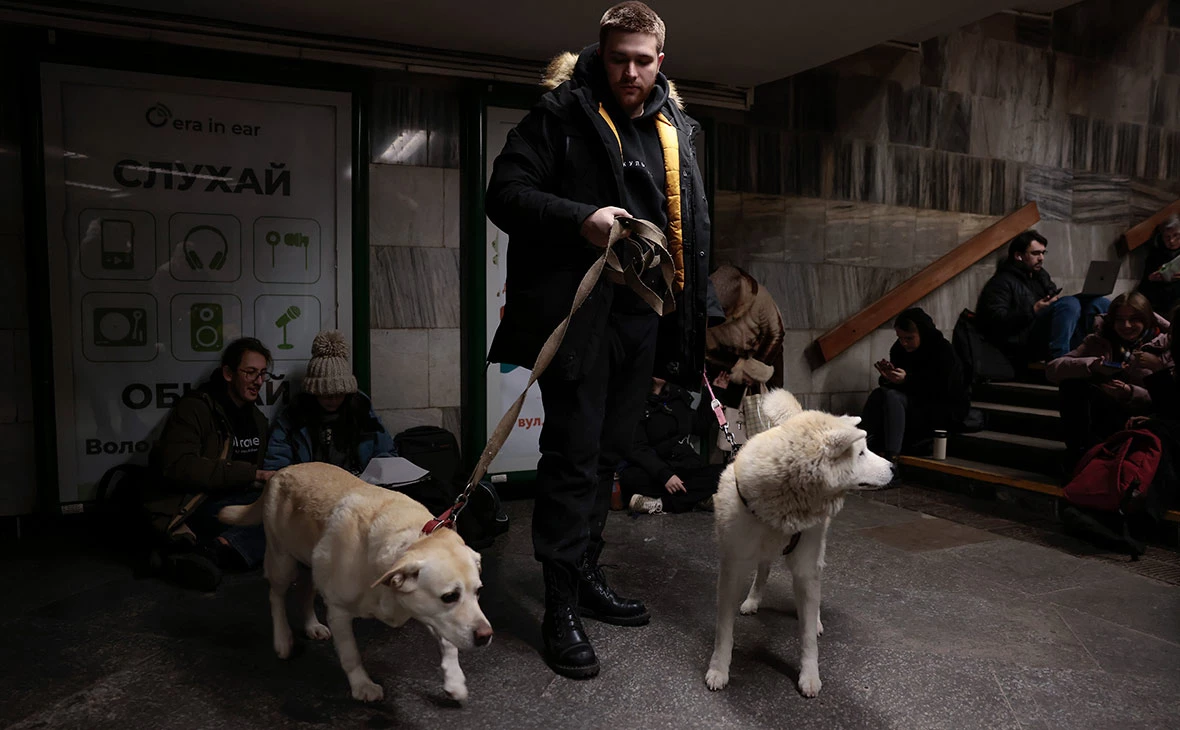 Jeff J Mitchell / Getty Images