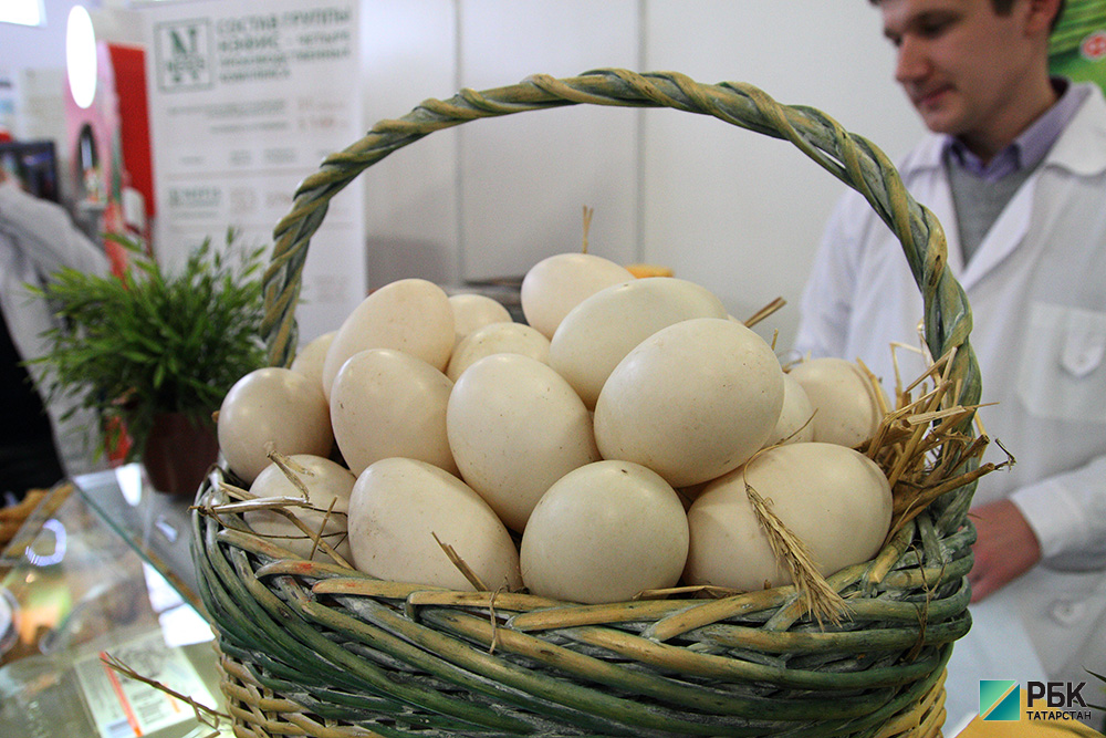 В Татарстане из-за птичьего гриппа изымут 300 тыс. яиц башкирской фабрики
