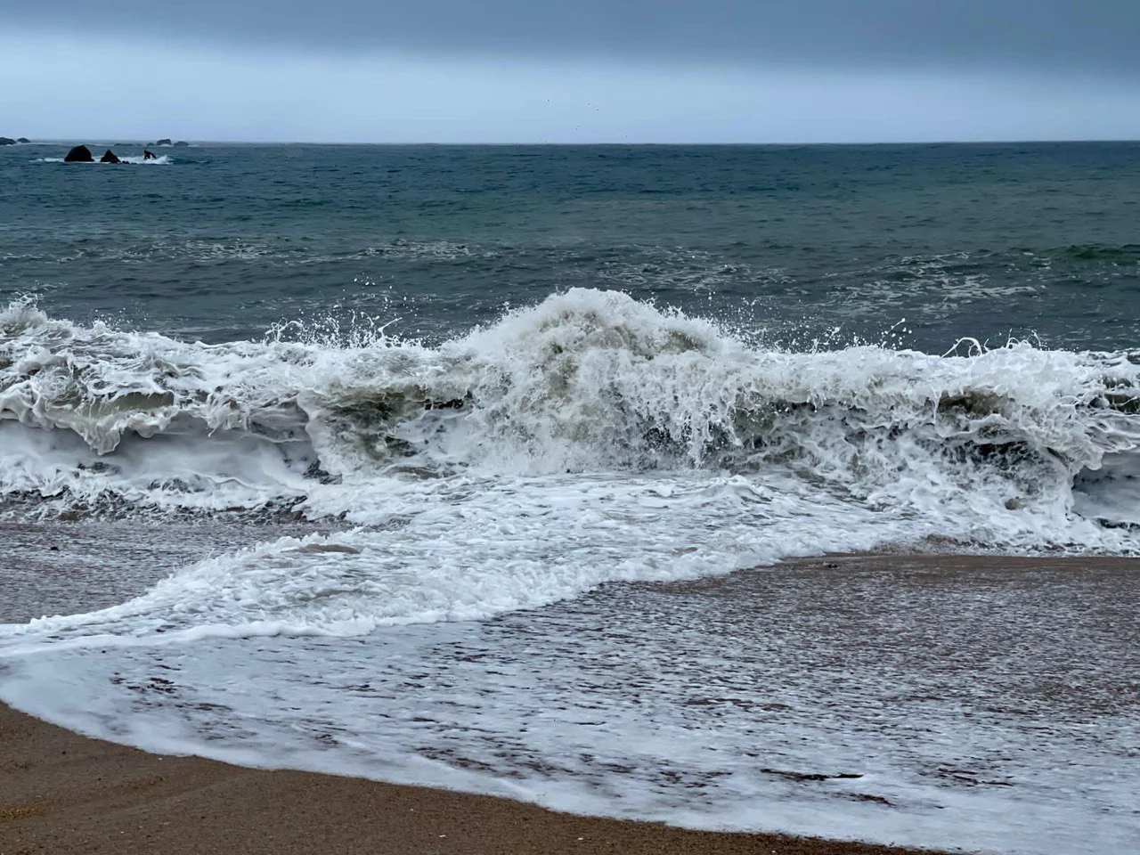 РБК Приморье 