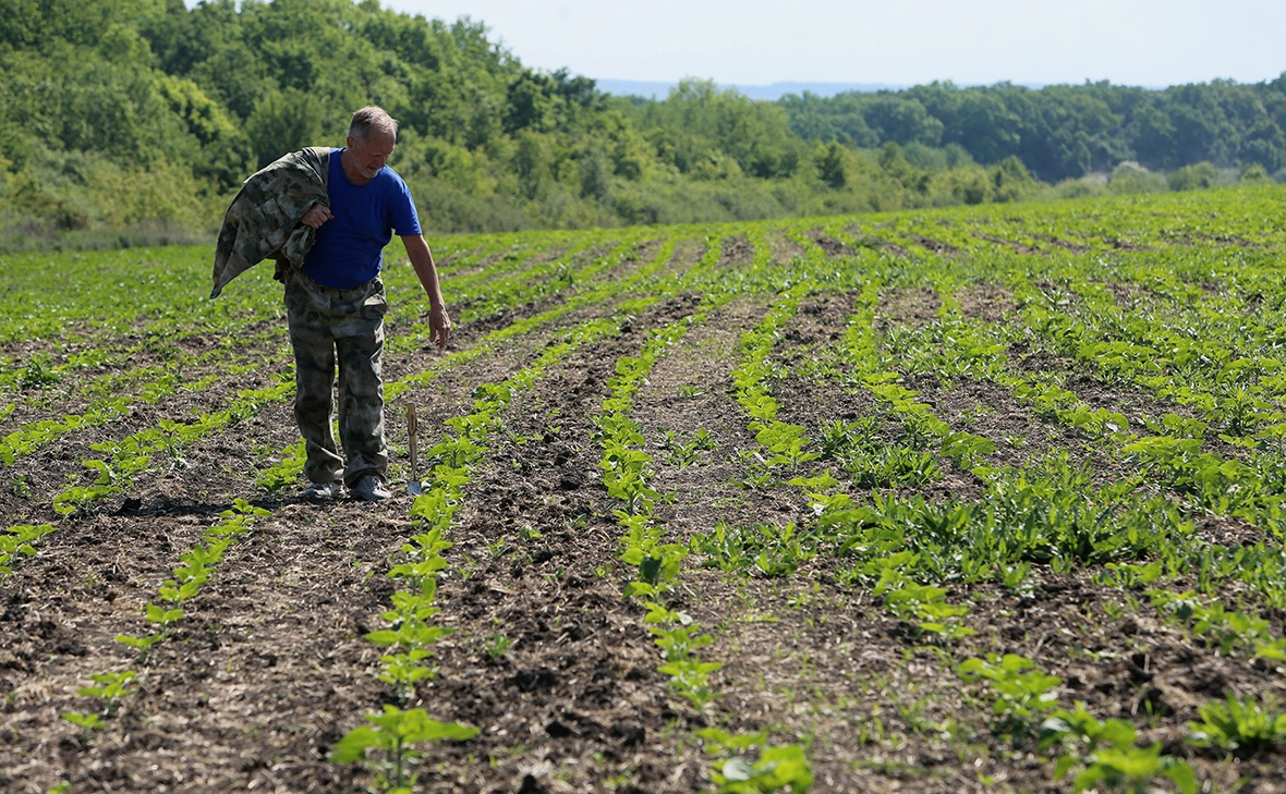 Николай Гынгазов / ТАСС