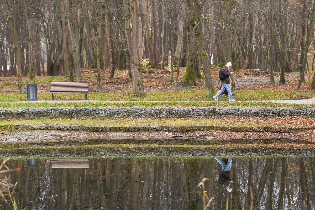 Александр Подгорчук
