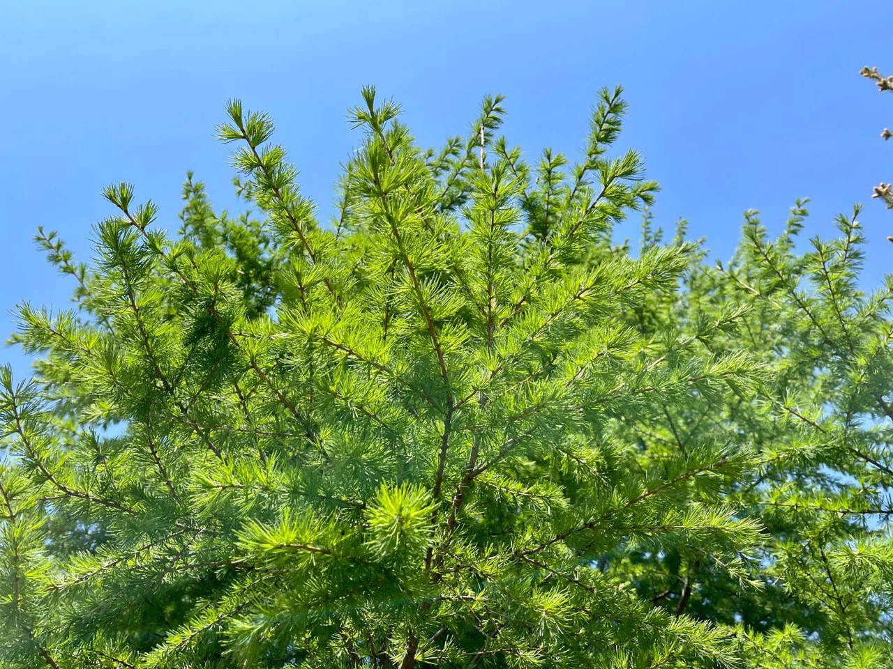 РБК Приморье