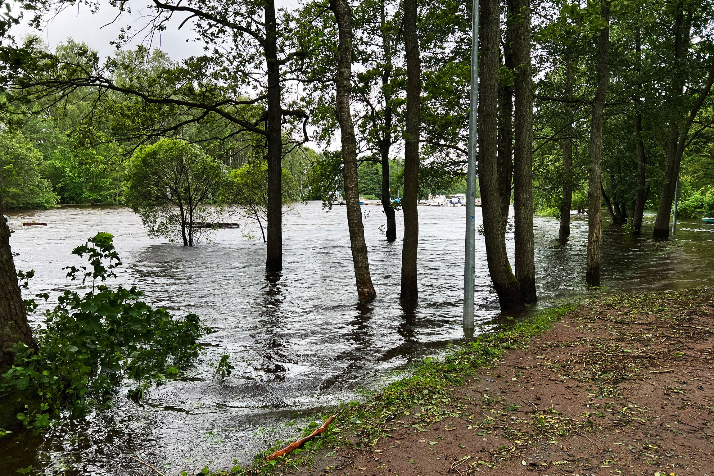 До 5 июля в Петербурге действует желтый уровень погодной опасности.