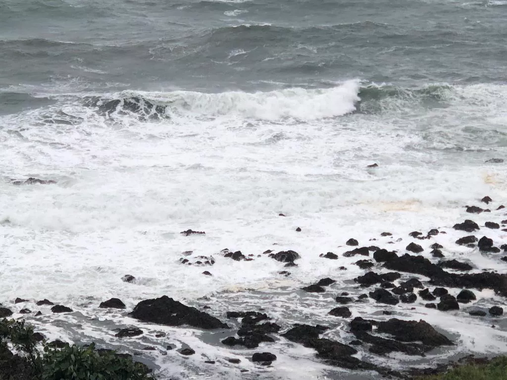 РБК Приморье