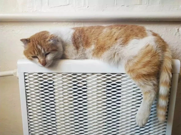 РБК Приморье