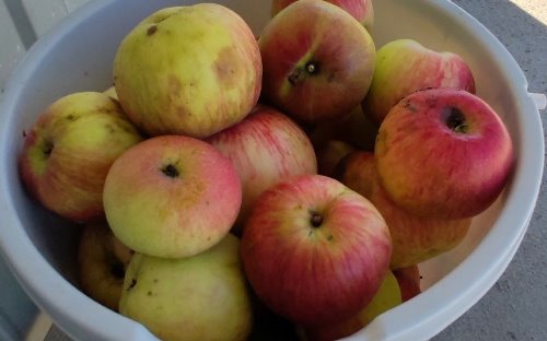 Фото: РБК Черноземье