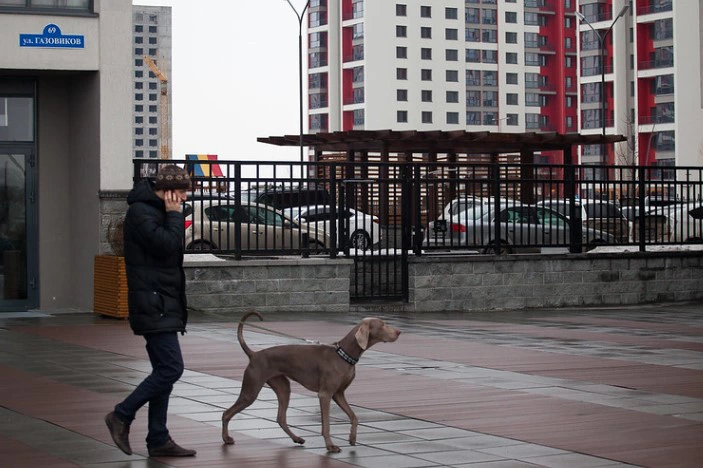 «Брусника»