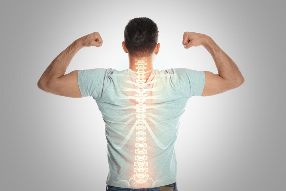Становая тяга &mdash; одно из самых подходящих упражнений для укрепления&nbsp;мышц спины