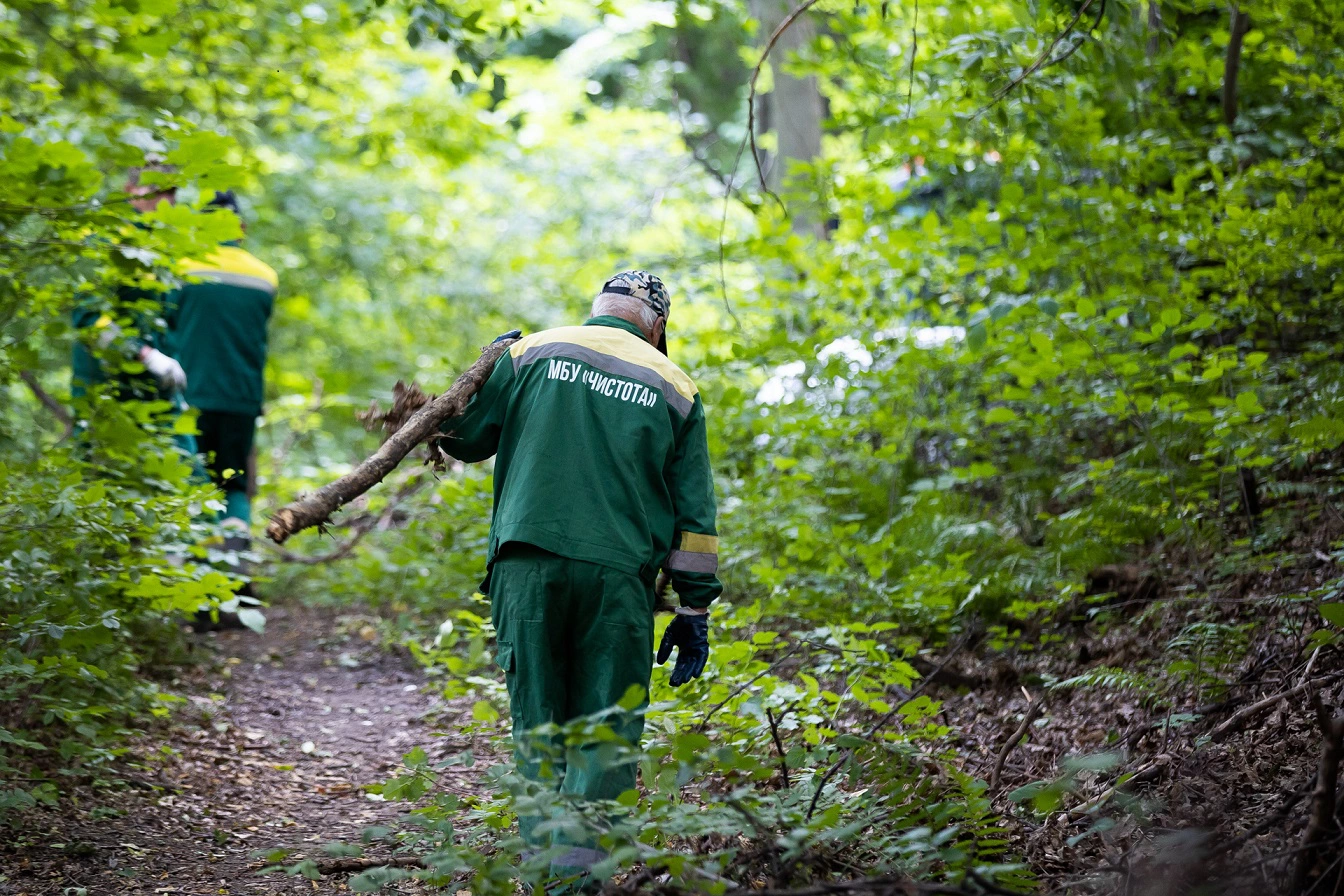 Александр Подгорчук