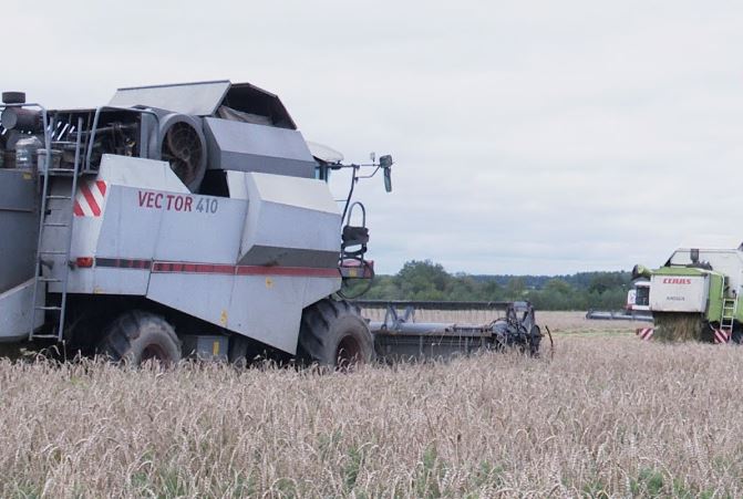 Фото: 35ТВ.ру