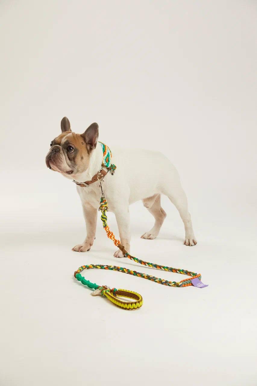 Капсульная коллекция Pet Subject х RomaUvarovDesign