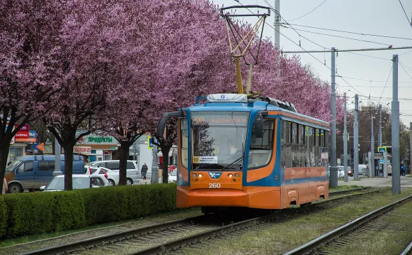 Пресс-служба администрации Краснодара