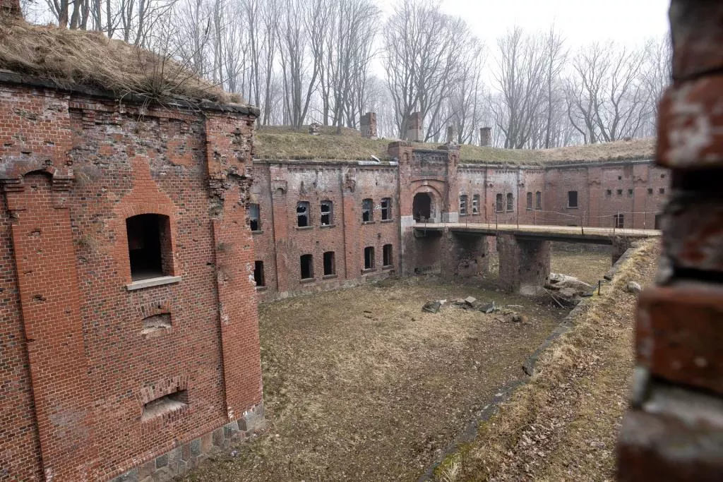 Александр Подгорчук