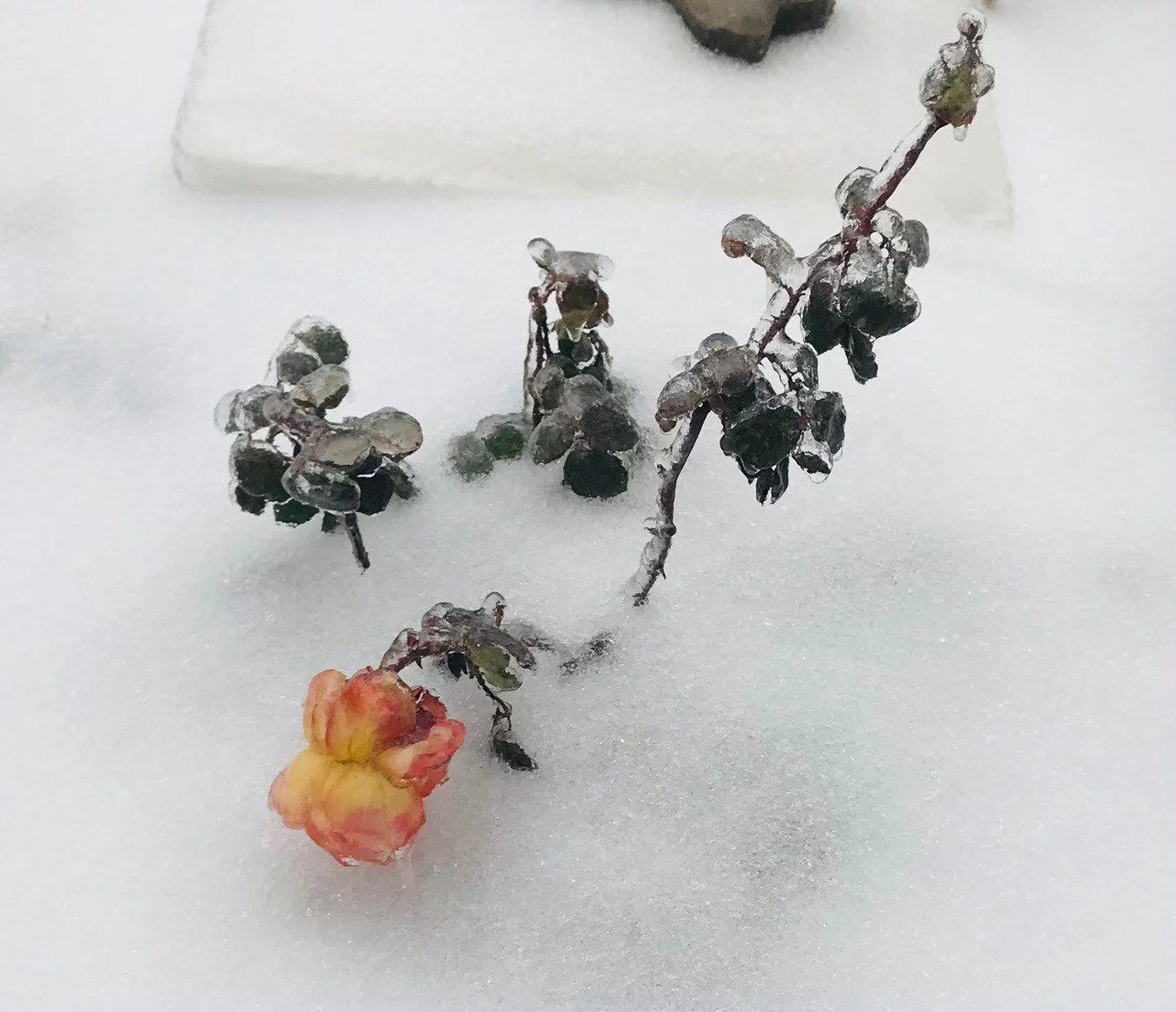 РБК Приморье