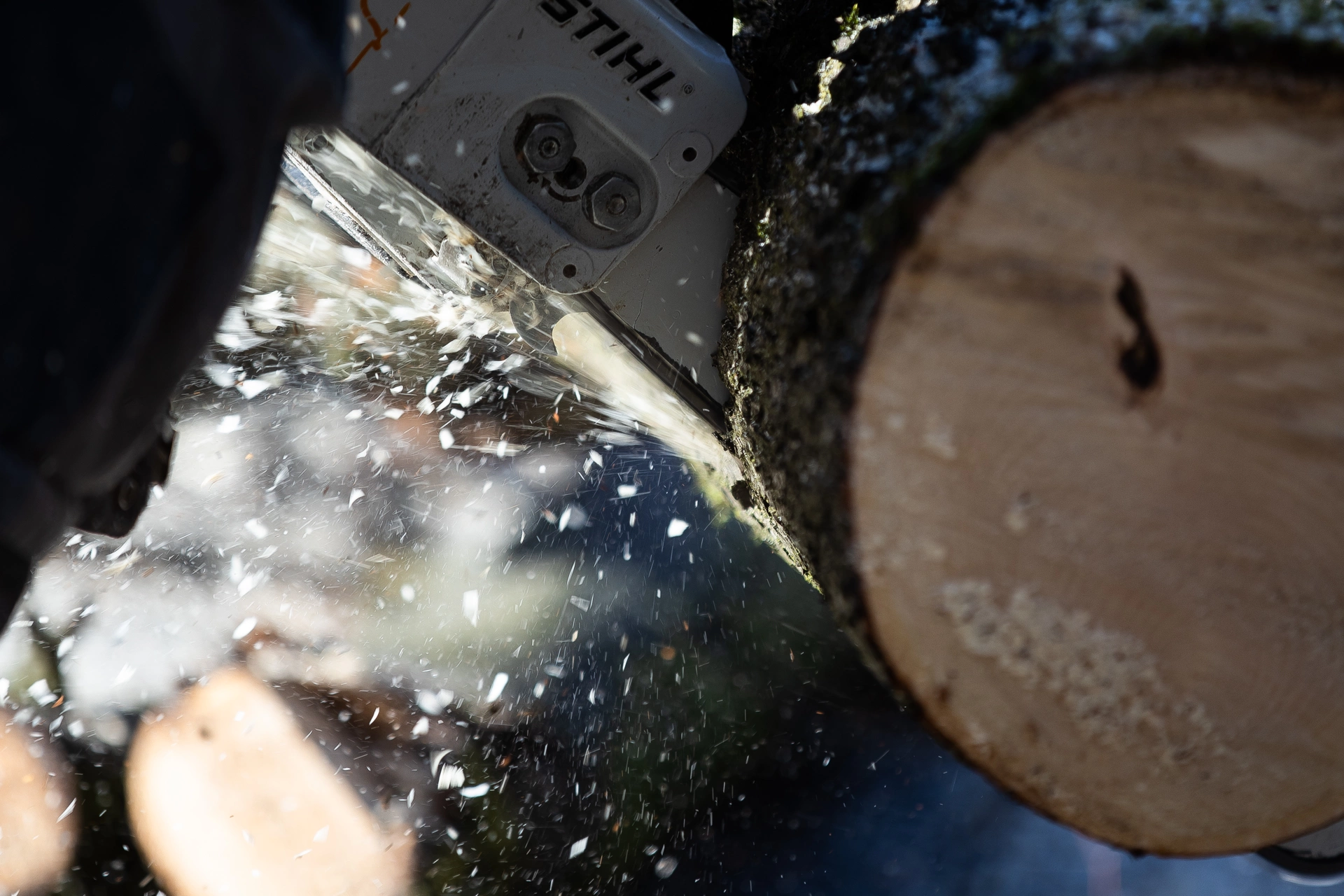 Александр Подгорчук