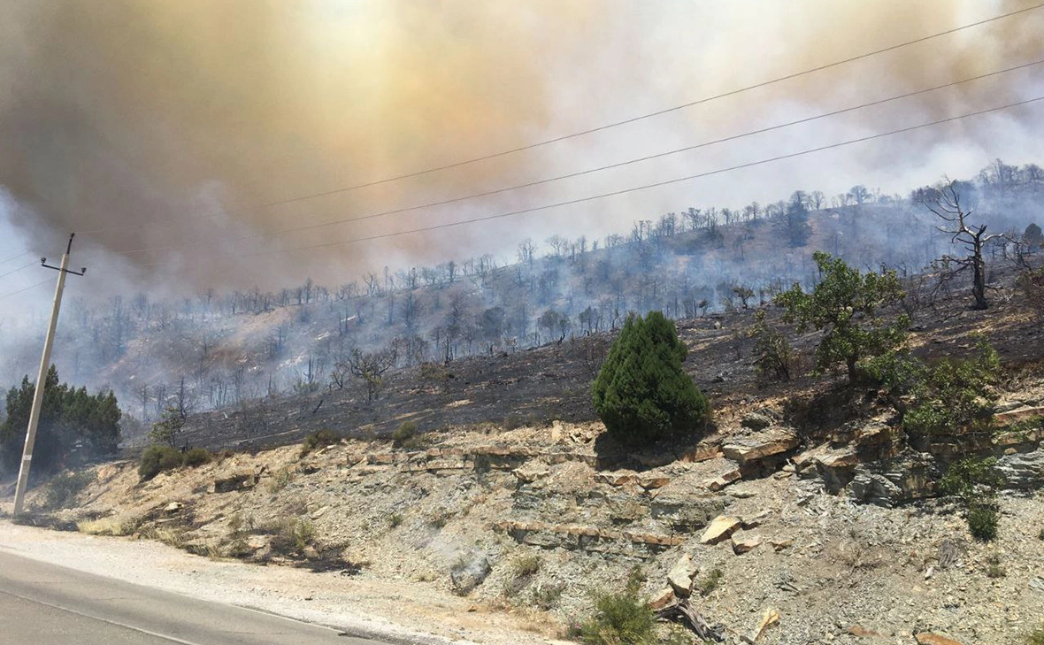 kravchenko_glava_nvrsk / Telegram