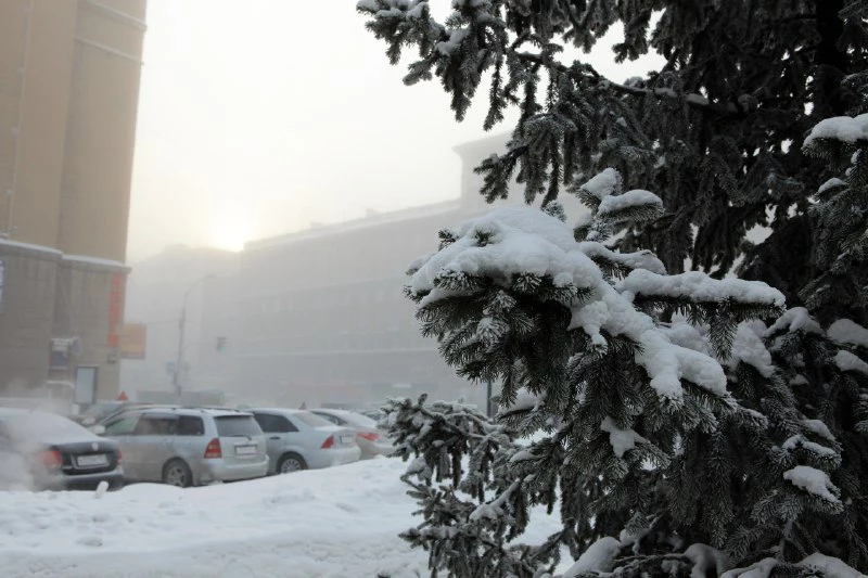 Telegram-канал «Мэрия Новосибирска»