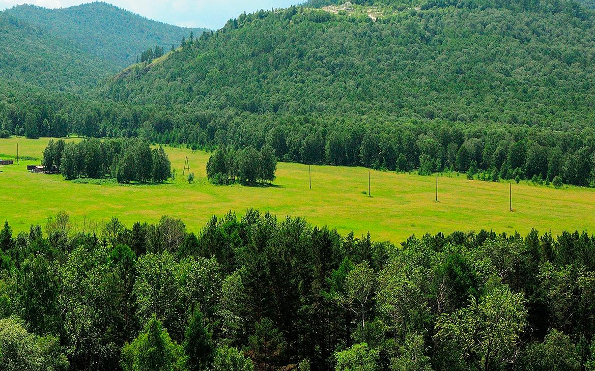 Рослесхоз подал в суд на агроструктуру «Русала» из-за земли в Хакасии