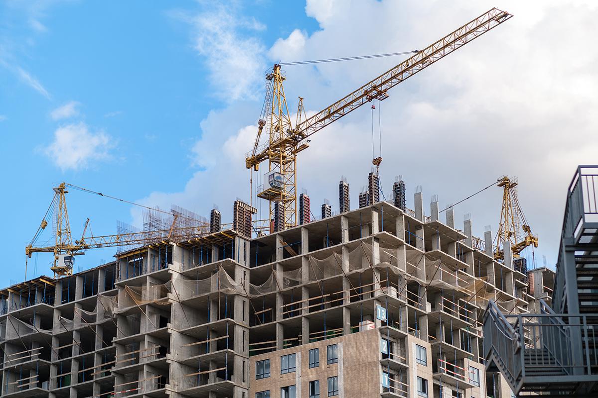 Фото: ANATOLY Foto / Shutterstock / FOTODOM